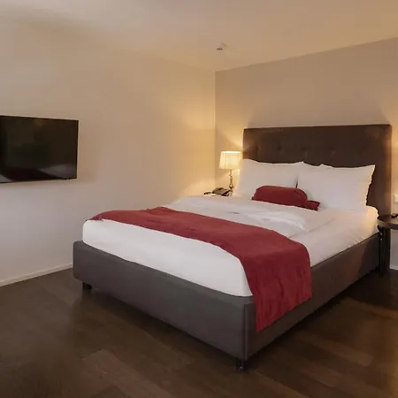 Hotel Schloss Huenigen 4*