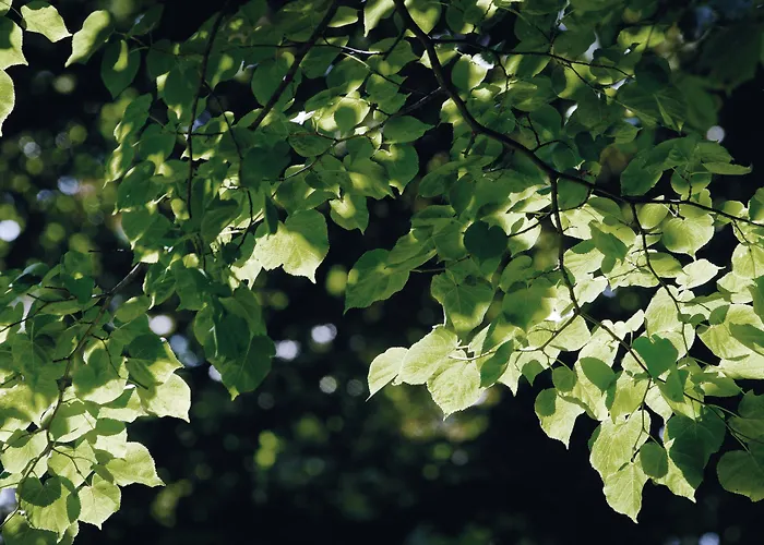 Hotel Schloss Hünigen