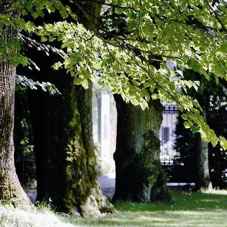 Schloss Huenigen Szálloda Konolfingen