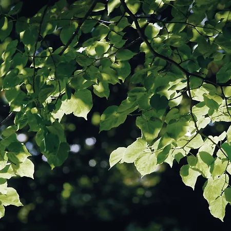 Szálloda Schloss Huenigen